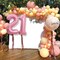 40 Inch Light Pink Large Numbers Balloons Number 21 Helium Balloons Pink Foil Mylar,21 Pastel Balloons(Number 21)